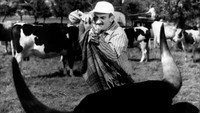 «Такси, прицеп и коррида (1958)» — обои к фильму #2