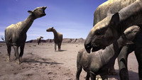 «BBC: Прогулки с чудовищами (2001)» — обои к сериалу #3