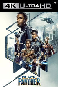 Постер фильма «Чёрная Пантера (2018)» — (16 из 292)