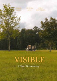 Imagem do Filme Visible