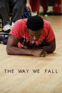 Poster de The Way We Fall