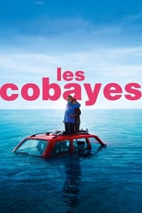 Les Cobayes - 2020