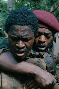 movie-images