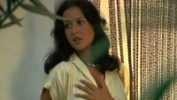 «Эта хитрая Мартина (1979)» — обои к фильму #1