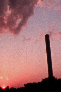 アマミノクロウサギとベニテングダケ