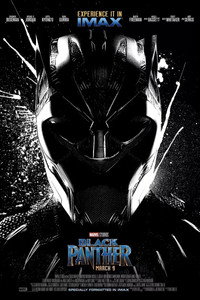 Постер фильма «Чёрная Пантера (2018)» — (27 из 292)