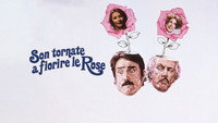 «Son tornate a fiorire le rose (1975)» — обои к фильму #1