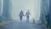 «The Perfect Picture - Ten Years Later (2019)» — обои к фильму #1