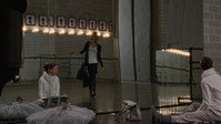 Black Swan