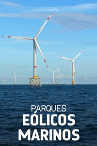 poster_Windparks im Meer - Chance oder Risiko für die Natur?