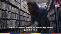 Incroyable Mais Vrai