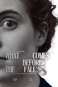 What Comes Before the Fall? (2025) subtitle poster