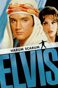 Постер фильма «Каникулы в гареме (1965)» — (8 из 18)