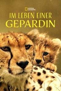 movie_cover