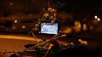 «Bird in a Box (2012)» — обои к фильму #3