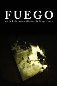 Fuego, en la Federación Obrera de Magallanes (2016)