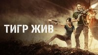 Tiger Zinda Hai