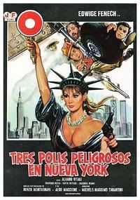 Poster de La poliziotta a New York