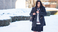 «Лжесвидетельство Соломона (2021)» — обои к сериалу #1