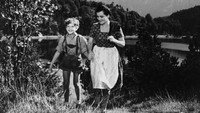 «Нежная тайна (1956)» — обои к фильму #1