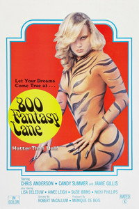 Постер фильма «Переулок фантазий, 800 (1979)» — (5 из 14)