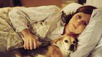 «Год собаки (2007)» — обои к фильму #2