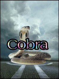 Poster de Cobra