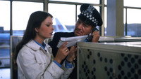 «Люби или брось (1977)» — обои к фильму #2