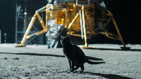 Обои к фильму «Покажи мне Луну (2024)» — (14 из 108)