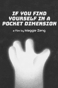 If You Find Yourself in a Pocket Dimension (2022) poster