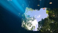 «Cenote (2019)» — обои к фильму #1