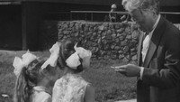 «Волчья стая (1975)» — обои к фильму #2