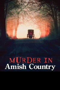 Poster de Murder in Amish Country