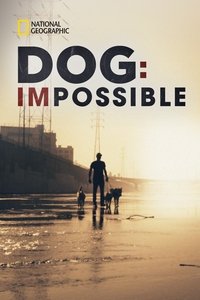 tv show poster Dog%3A+Impossible 2019