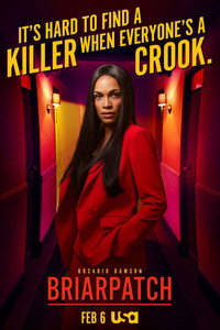 Постер сериала «Терновый куст (2020)» — (2 из 19)