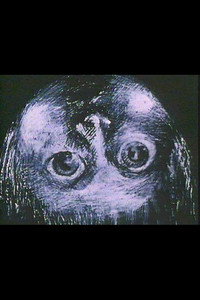 Постер мультфильма «Luna, Luna, Luna (1981)» — (1 из 1)