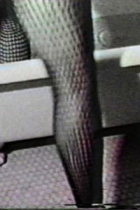 Imagem do Filme Dangerous When Wet