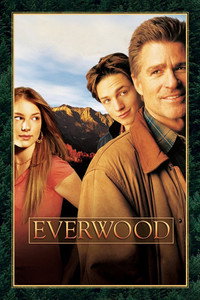 Постер сериала «Любовь вдовца (2002-2006)» — (11 из 34)