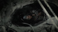 «Счёт на минуты (2024)» — обои к сериалу #3