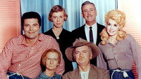 «Деревенщина из Беверли-Хиллз (1962-1971)» — обои к сериалу #5