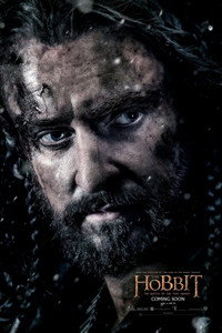Постер фильма «Хоббит: Битва пяти воинств (2014)» — (41 из 134)