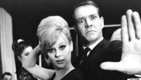 «Девушка и фотограф (1963)» — обои к фильму #1