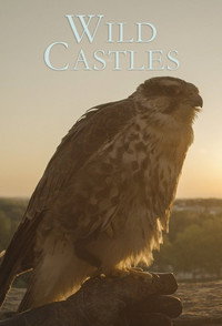 Постер сериала «Wild Castles (2017)» — (4 из 8)