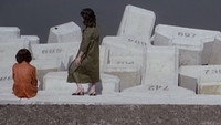 «ビニール本の女 密写全裸 (1981)» — обои к фильму #8