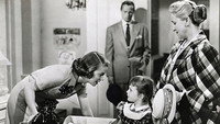 «My Pal Gus (1952)» — обои к фильму #1