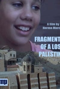 Fragments of a Lost Palestine