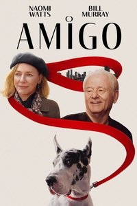 Poster do Filme O Amigo