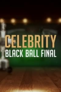 Celebrity Black Ball Final with Steve Davis - 2015