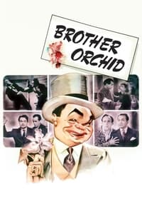 Poster de Brother Orchid