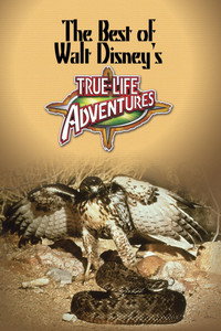 Постер фильма «The Best of Walt Disney's True-Life Adventures (1975)» — (4 из 11)